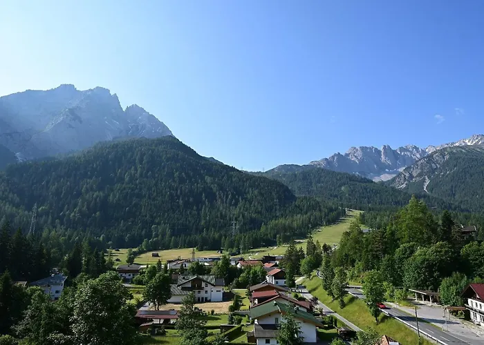 Dz Komfort ビーバーヴィアー